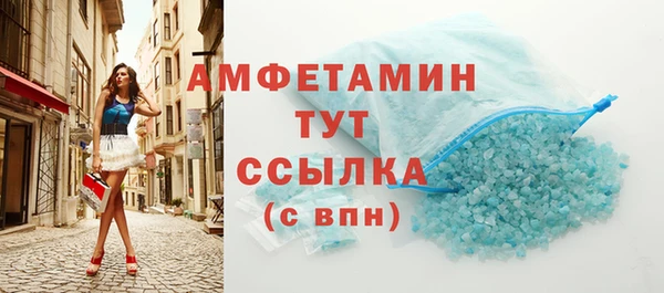 индика Ладушкин