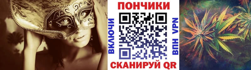 где найти наркотики  Электросталь  Марихуана марихуана 